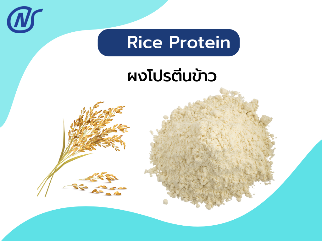 Rice Protein